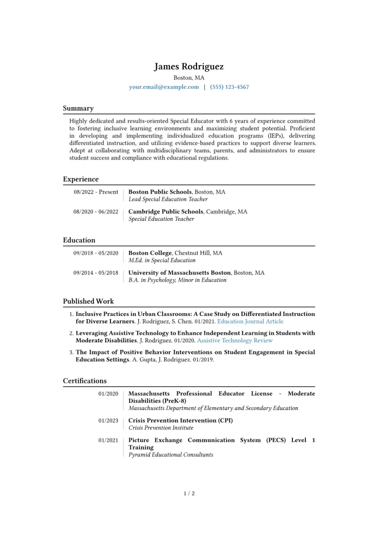 Special Educator Resume Example CV template preview