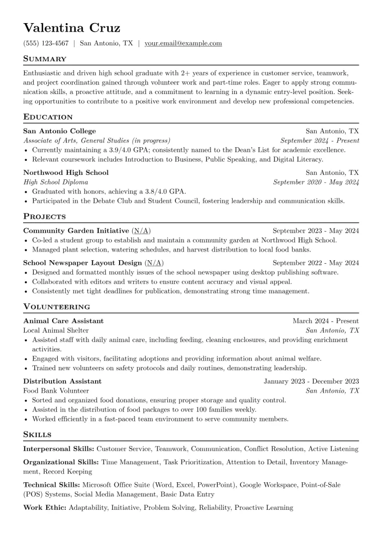 Starter Resume Example preview