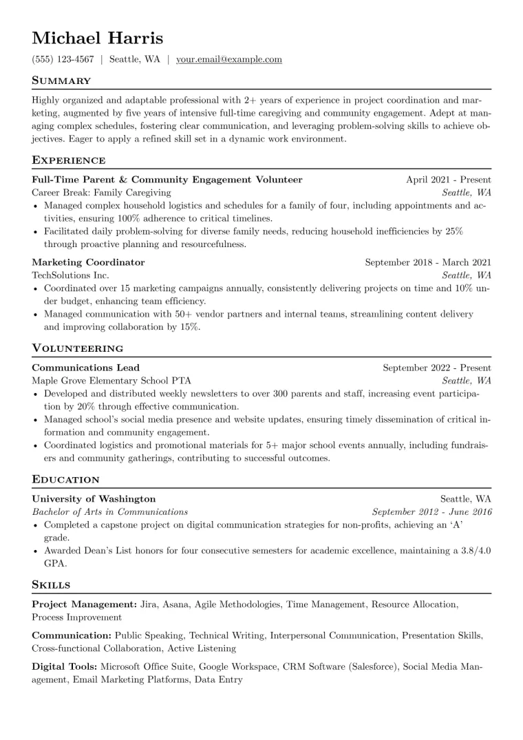 Stay at Home Dad Resume Example CV template preview