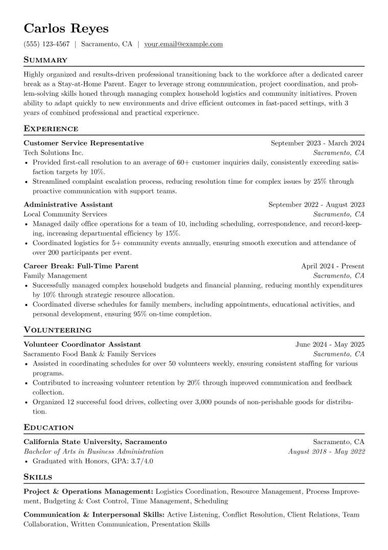 Stay-at-Home Parent Resume Example preview