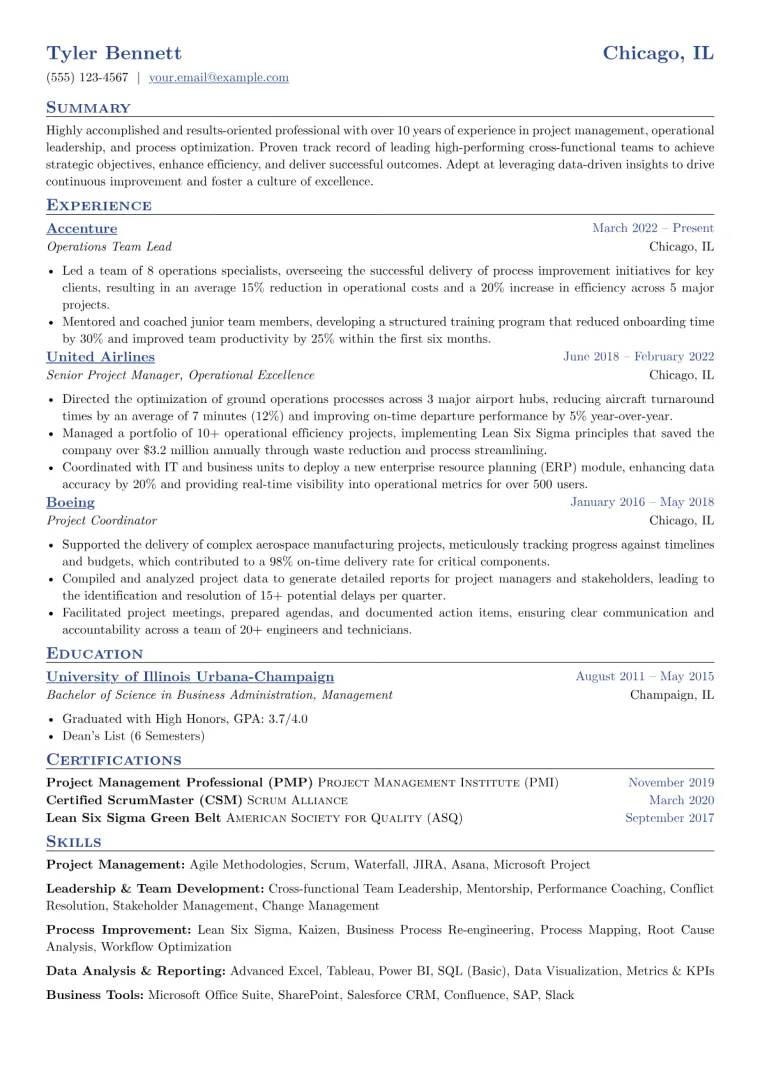 Team Lead Resume Example CV template preview