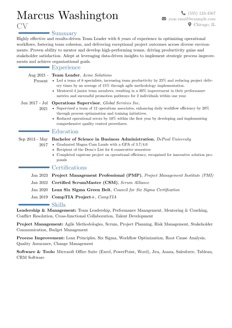 Team Leader Resume Example CV template preview