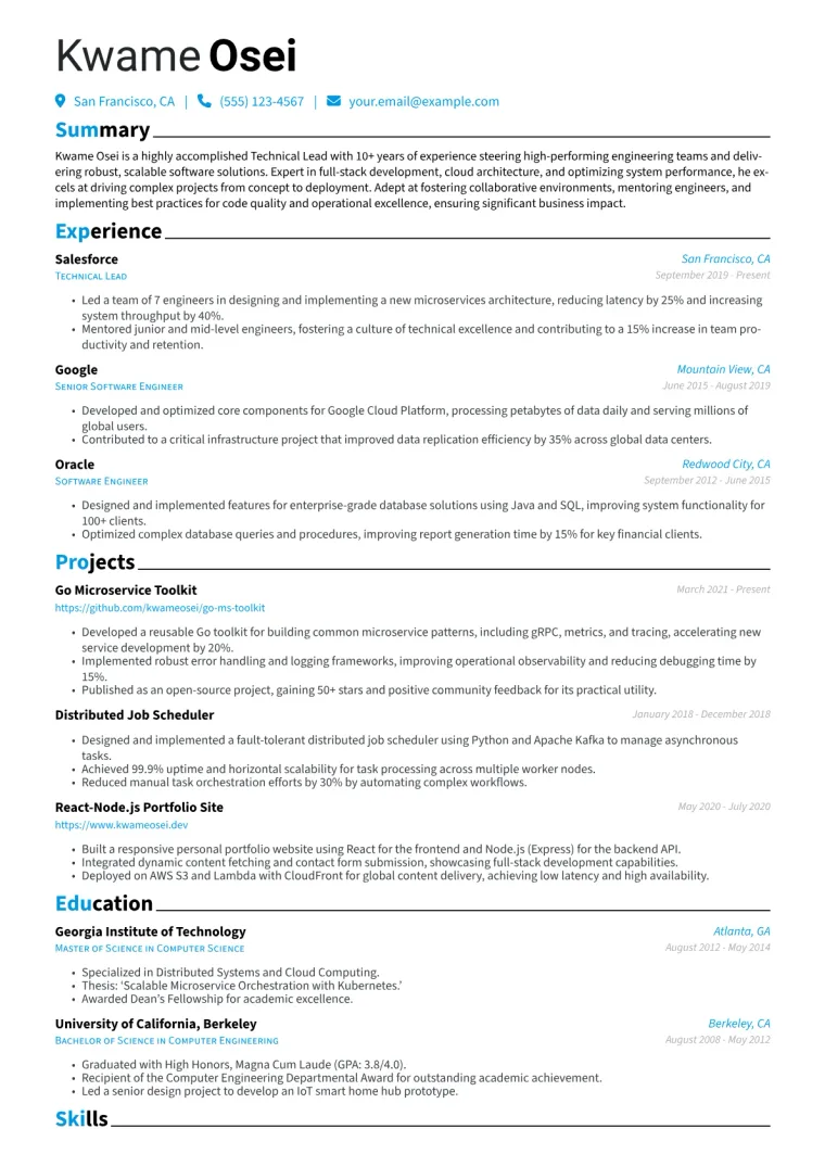 Technical Lead Resume Example CV template preview