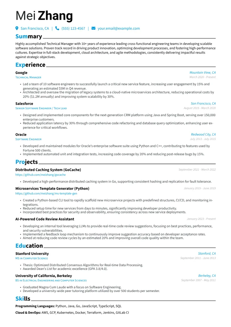 Technical Manager Resume Example CV template preview