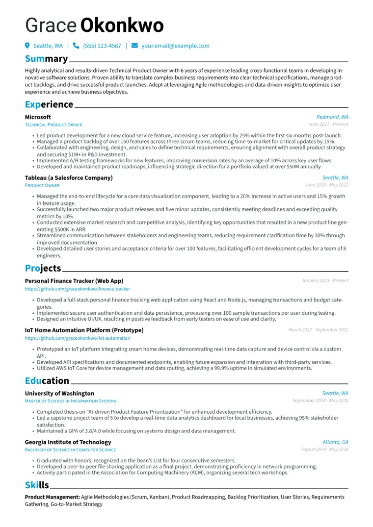 Technical Product Owner Resume Example CV template preview
