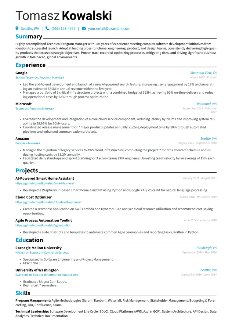 Technical Program Manager Resume Example CV template preview