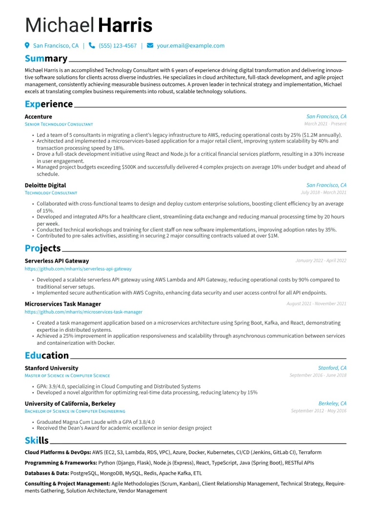 Technology Consultant Resume Example CV template preview
