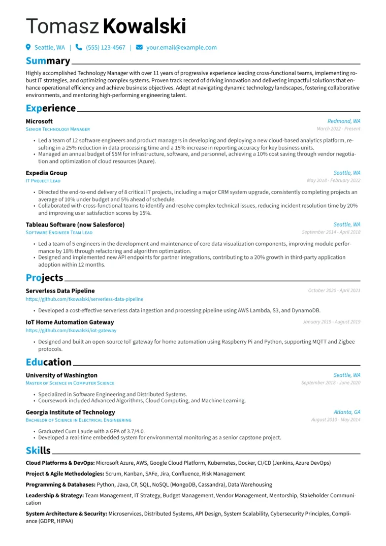 Technology Manager Resume Example CV template preview