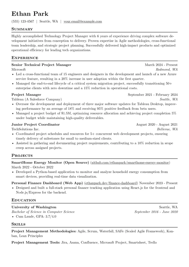 Technology Project Manager Resume Example preview