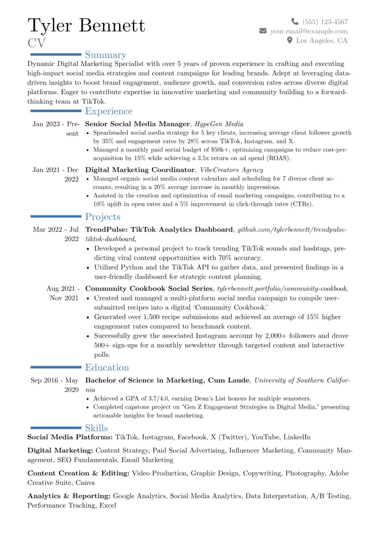 TikTok Resume Example preview