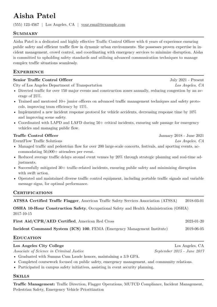 Traffic Control Officer Resume Example CV template preview