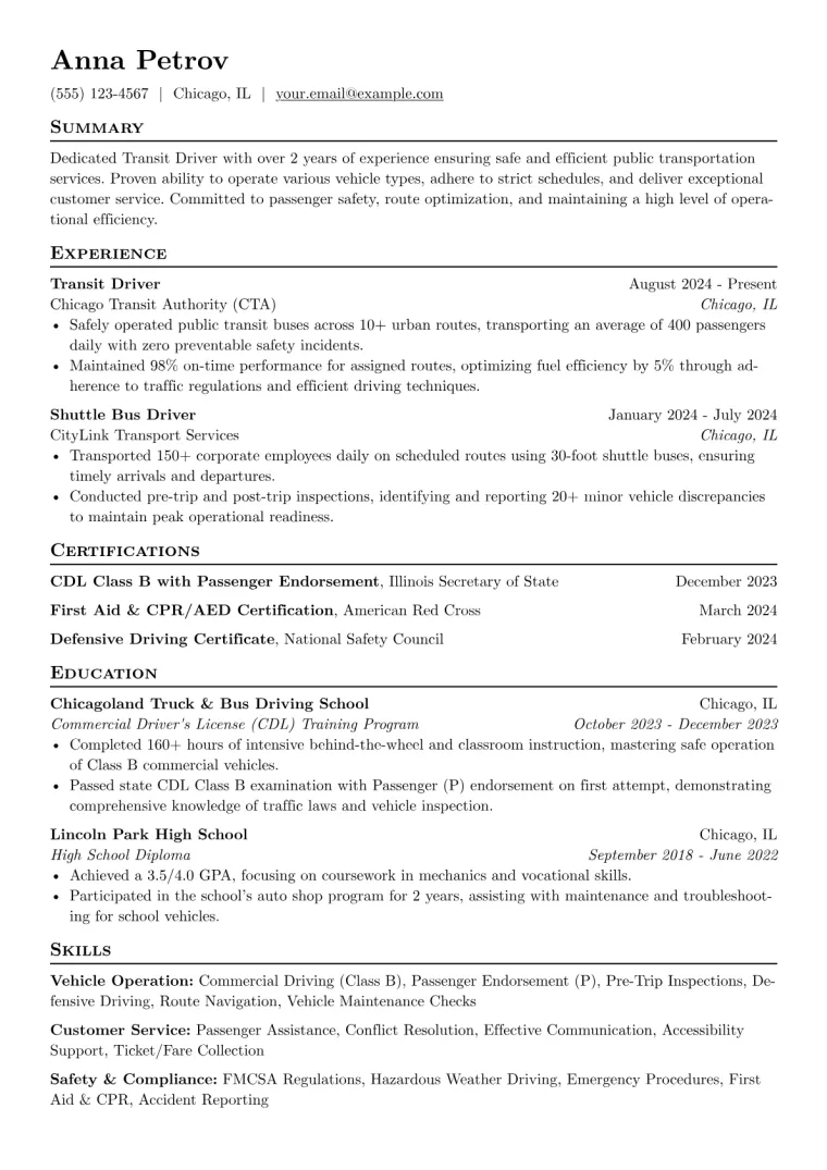 Transit Driver Resume Example CV template preview