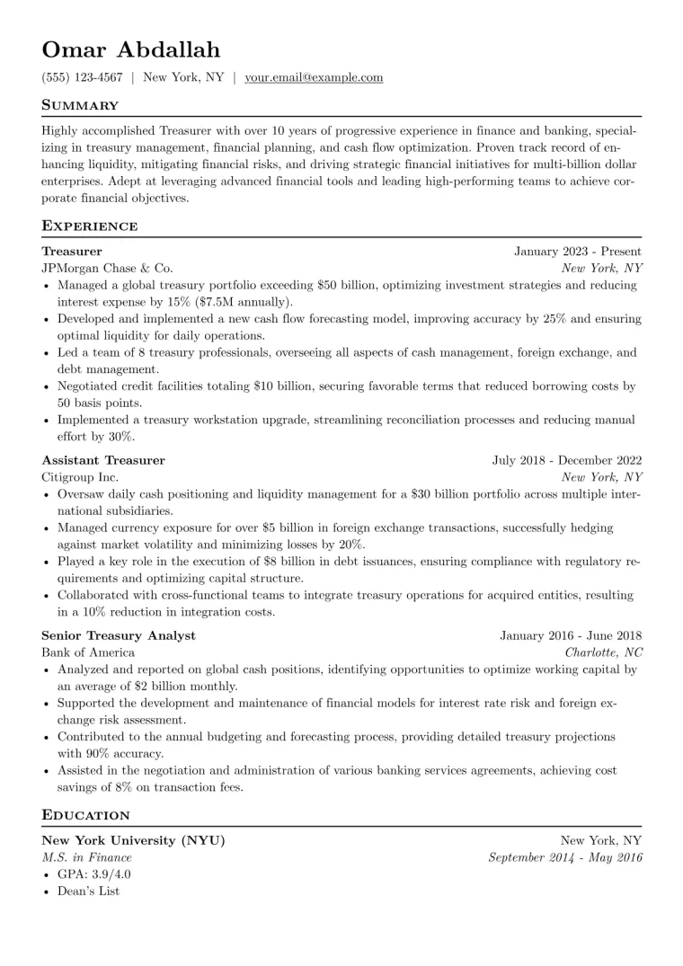 Treasurer Resume Example CV template preview