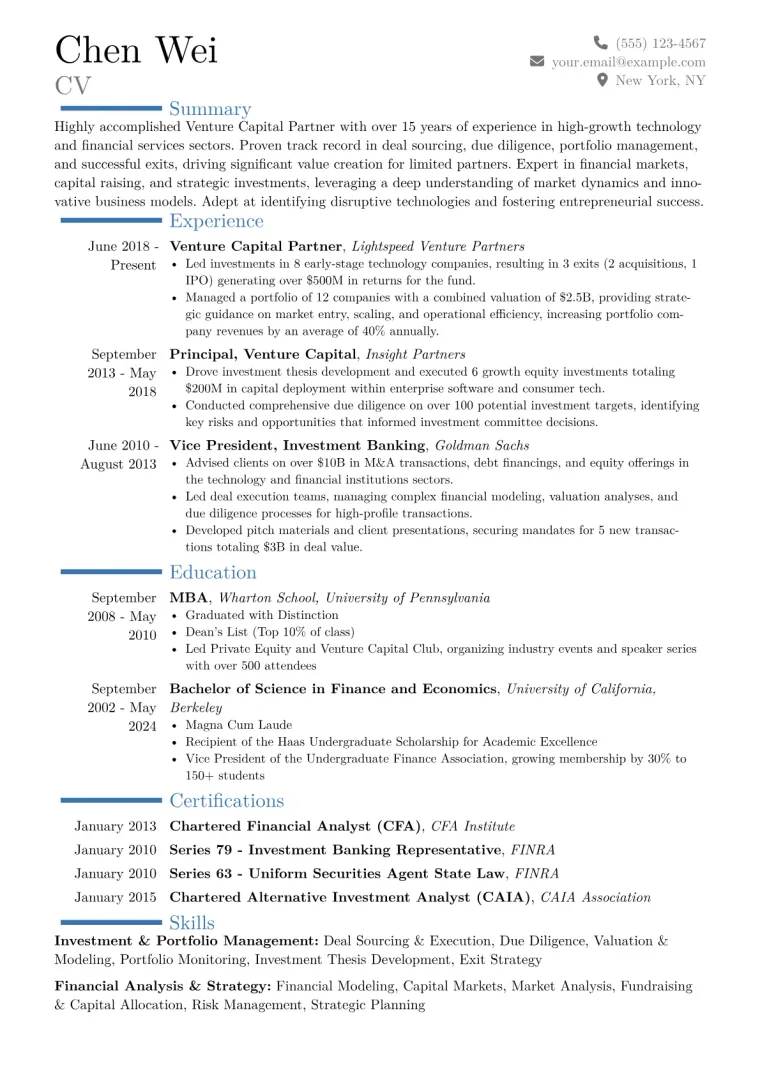 Venture Capital Partner Resume Example CV template preview