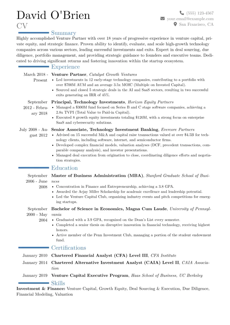 Venture Partner Resume Example CV template preview