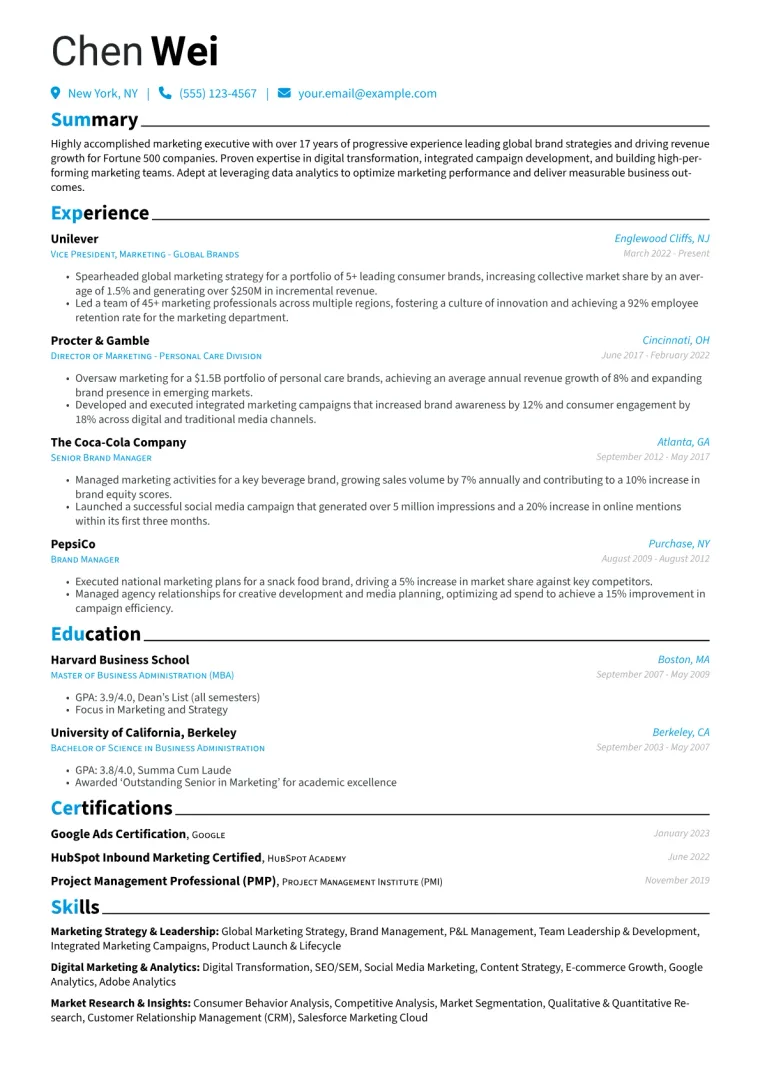 Vice President Marketing Resume Example preview