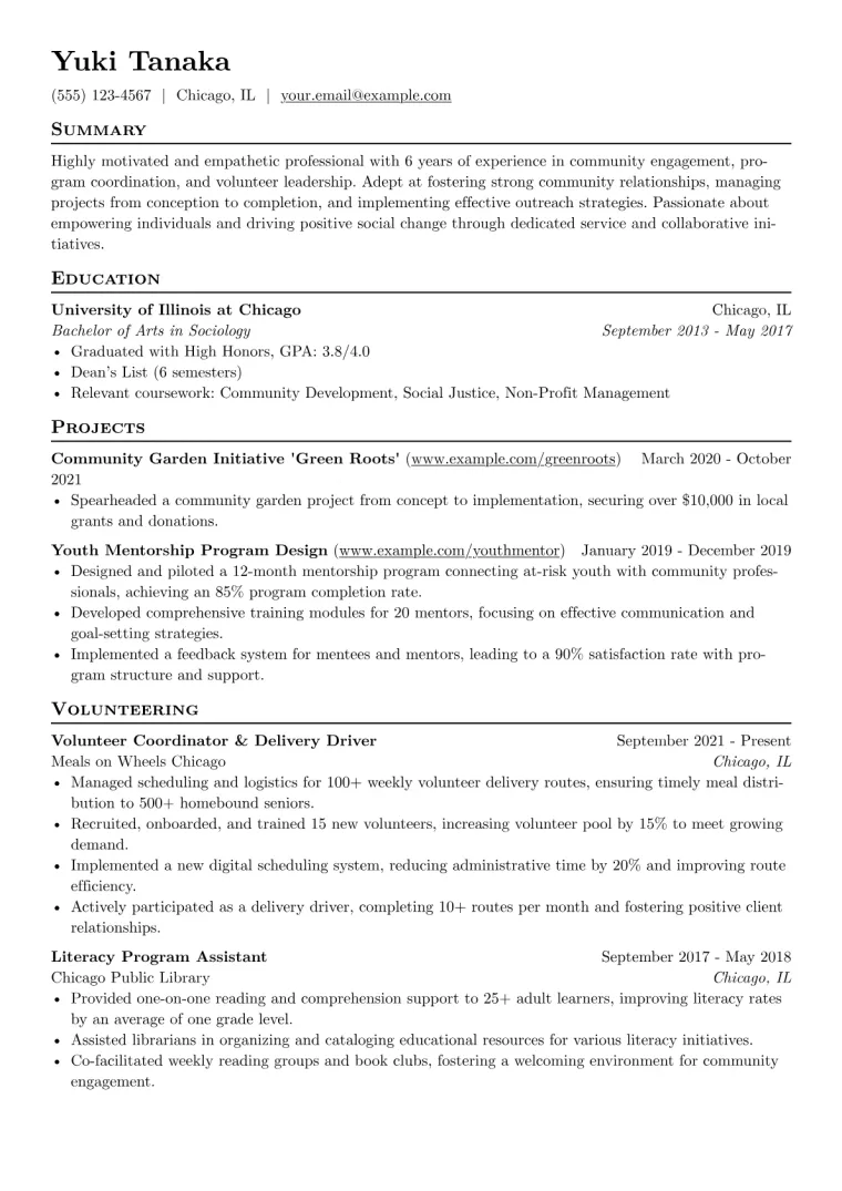 Volunteer Resume Example CV template preview