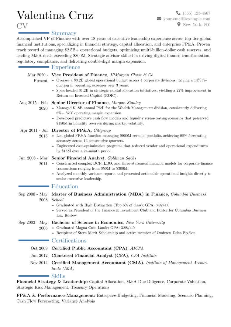 VP Finance Resume Example preview
