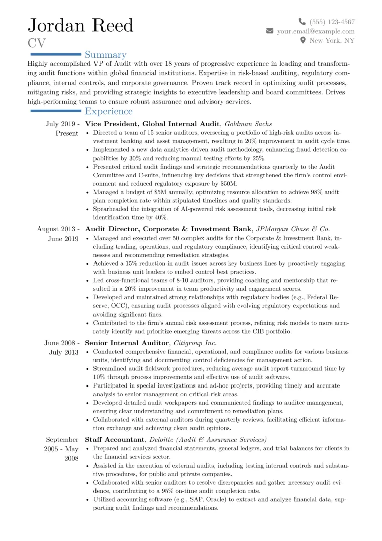 VP of Audit Resume Example CV template preview