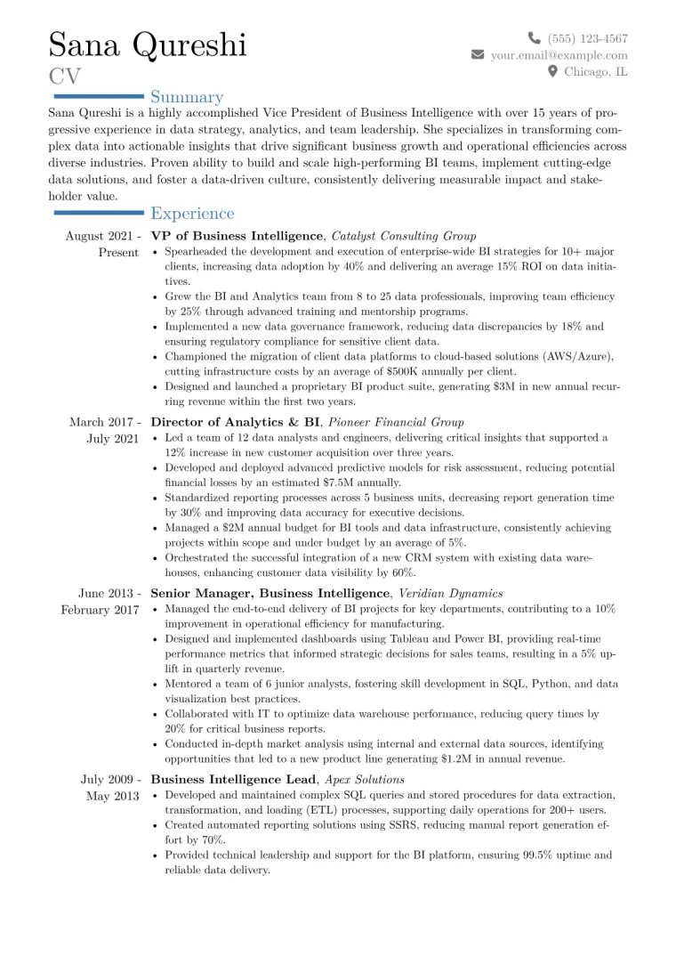 VP of Business Intelligence Resume Example CV template preview