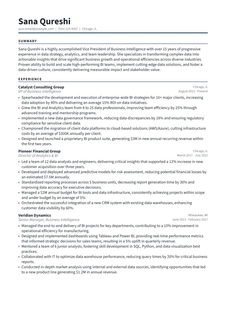VP of Business Intelligence Resume Example CV template preview