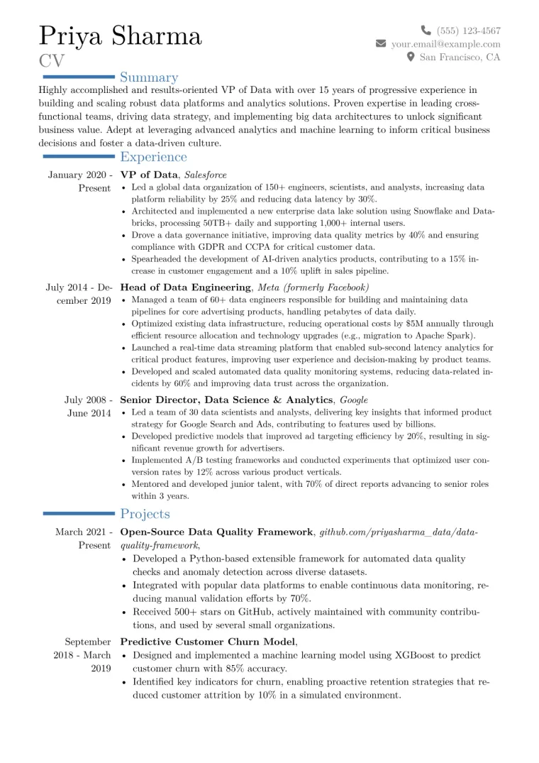 VP of Data Resume Example CV template preview