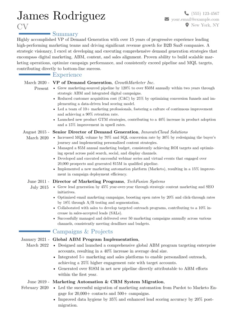 VP of Demand Generation Resume Example CV template preview