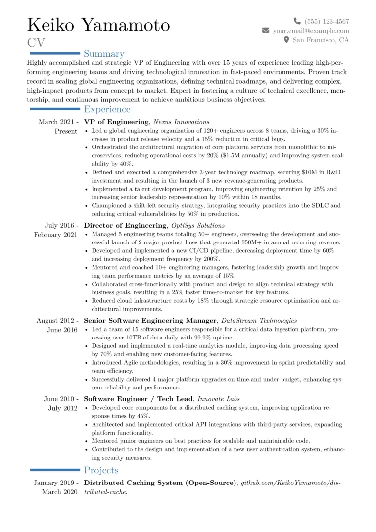 VP of Engineering Resume Example CV template preview
