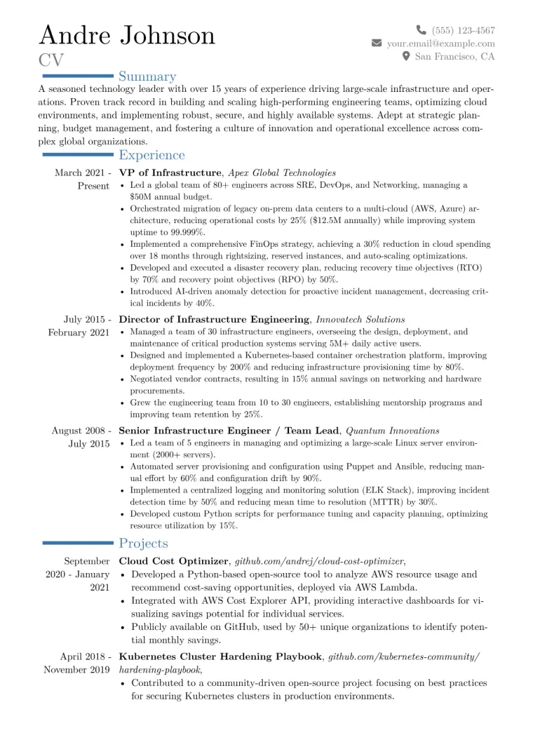 VP of Infrastructure Resume Example CV template preview