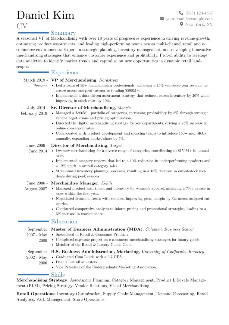 VP of Merchandising Resume Example CV template preview