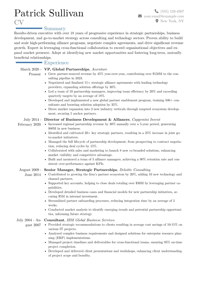 VP of Partnerships Resume Example CV template preview