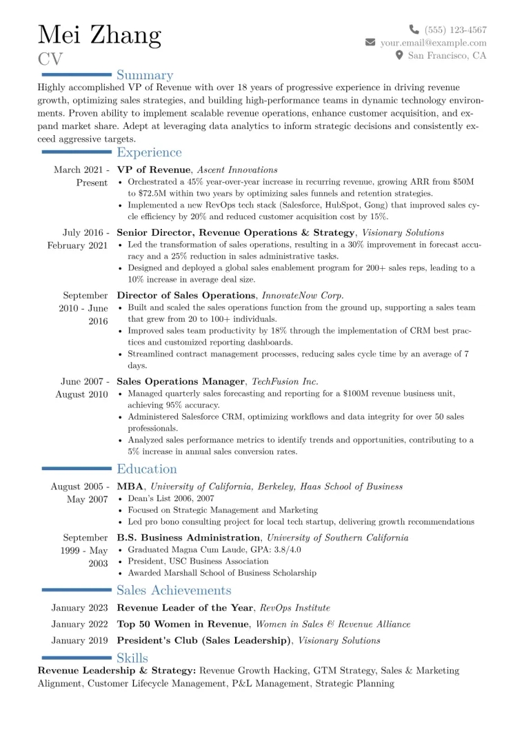 VP of Revenue Resume Example CV template preview