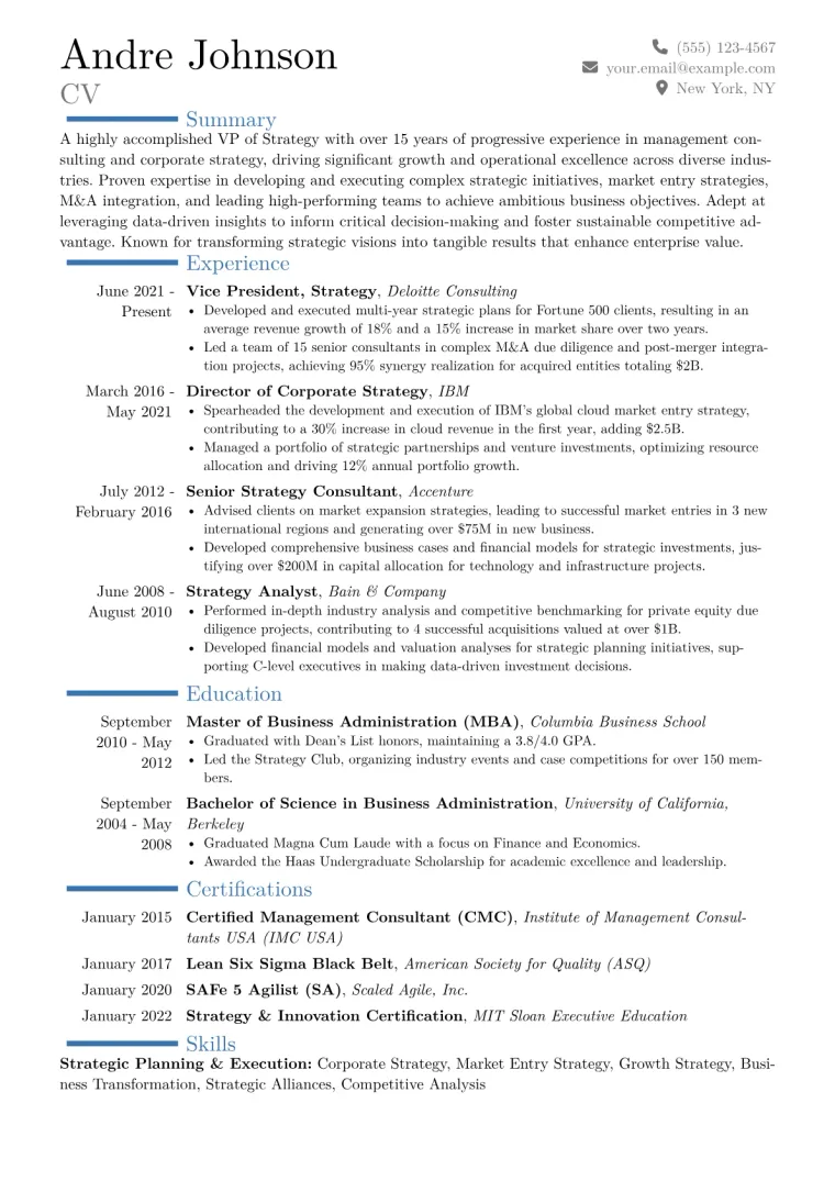 VP of Strategy Resume Example CV template preview