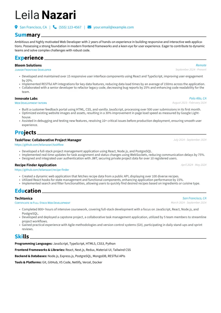 Web Developer With No Experience Resume Example preview