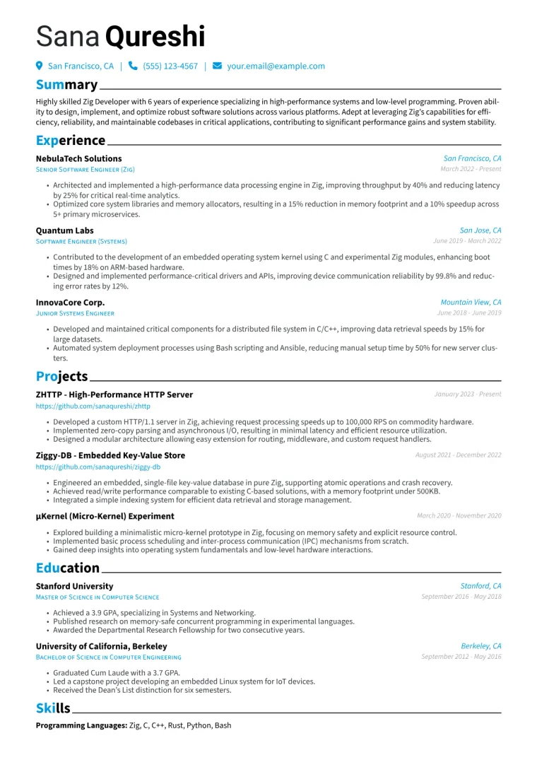 Zig Developer Resume Example CV template preview