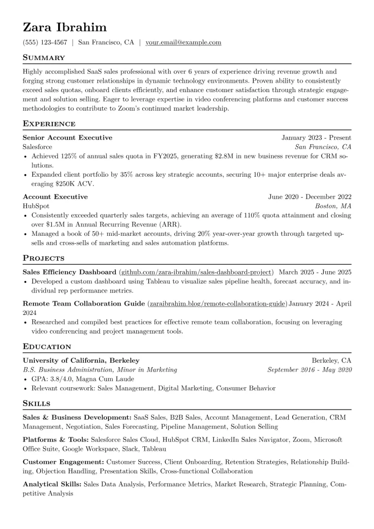Zoom Resume Example CV template preview